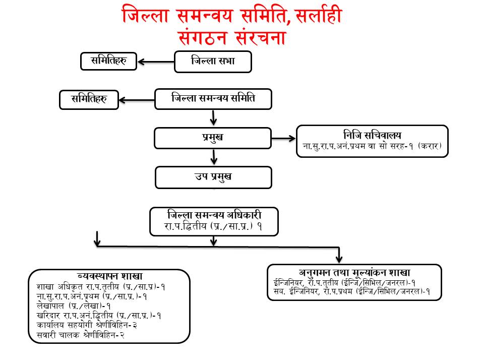 संगठन संरचना